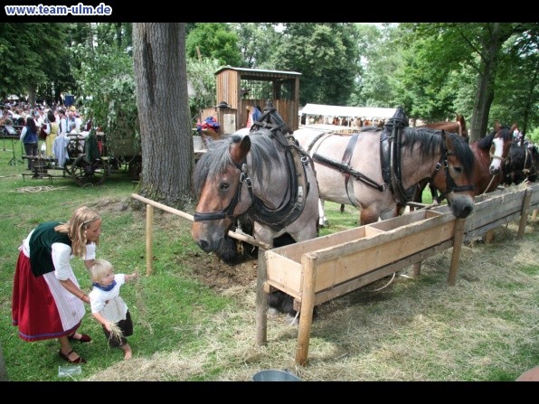 Schützenfest - Lagerleben & mehr @ Biberach - Bild 30
