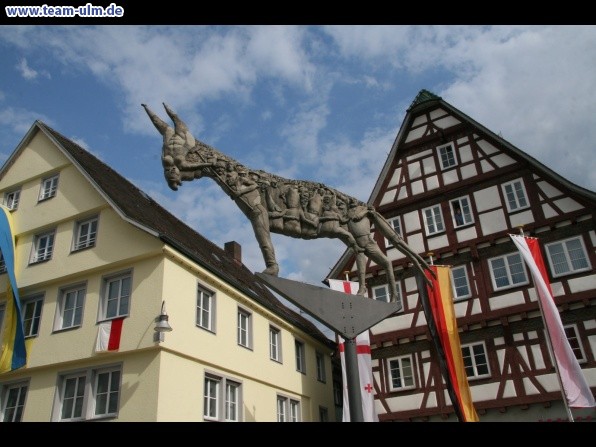 Schützenfest - Lagerleben & mehr @ Biberach - Bild 50