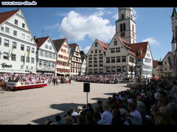 Festumzug - Hoch zu Ross @ Biberach - Bild 1