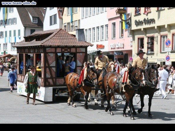 Festumzug - Hoch zu Ross @ Biberach - Bild 102