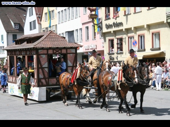 Festumzug - Hoch zu Ross @ Biberach - Bild 103