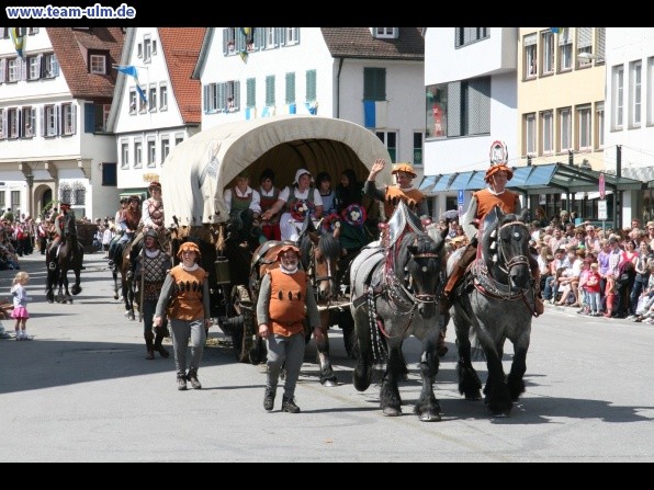 Festumzug - Hoch zu Ross @ Biberach - Bild 105