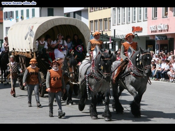 Festumzug - Hoch zu Ross @ Biberach - Bild 106