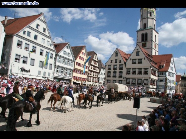 Festumzug - Hoch zu Ross @ Biberach - Bild 111