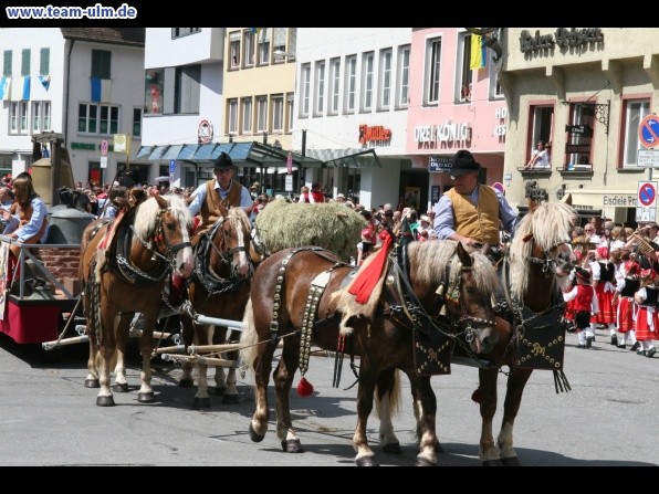 Festumzug - Hoch zu Ross @ Biberach - Bild 115