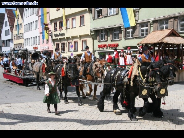 Festumzug - Hoch zu Ross @ Biberach - Bild 117