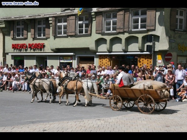 Festumzug - Hoch zu Ross @ Biberach - Bild 120