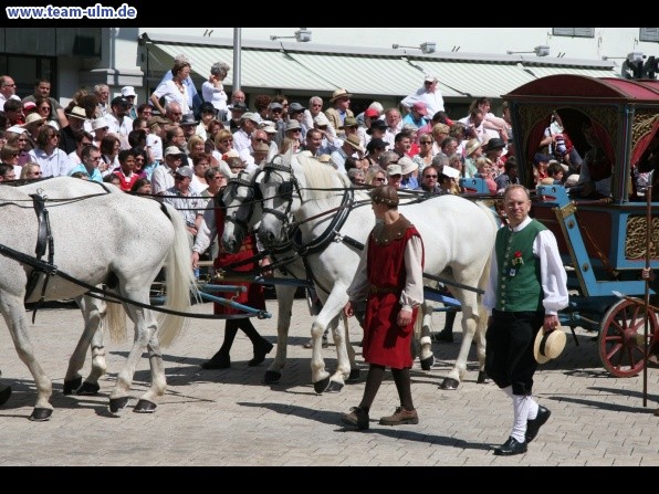 Festumzug - Hoch zu Ross @ Biberach - Bild 13