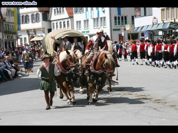 Festumzug - Hoch zu Ross @ Biberach - Bild 130