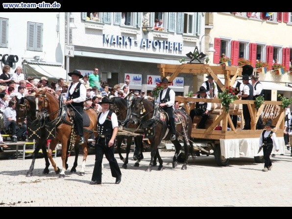 Festumzug - Hoch zu Ross @ Biberach - Bild 134