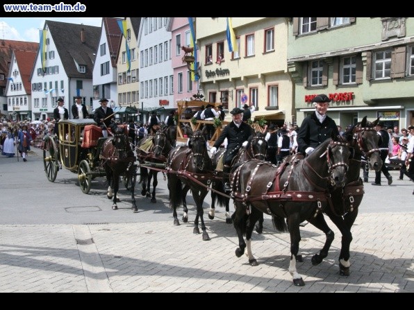 Festumzug - Hoch zu Ross @ Biberach - Bild 135