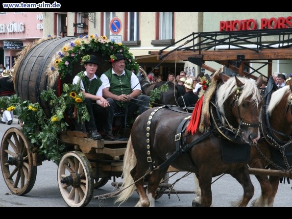 Festumzug - Hoch zu Ross @ Biberach - Bild 139