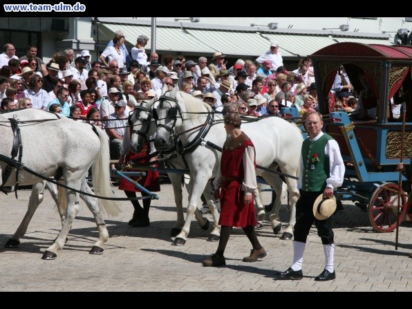 Festumzug - Hoch zu Ross @ Biberach - Bild 14