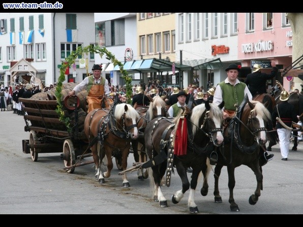 Festumzug - Hoch zu Ross @ Biberach - Bild 140