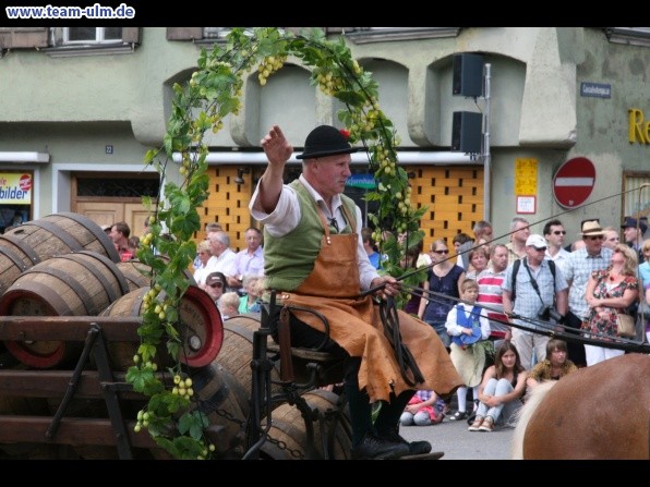 Festumzug - Hoch zu Ross @ Biberach - Bild 141