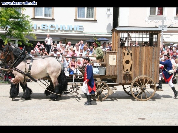 Festumzug - Hoch zu Ross @ Biberach - Bild 143