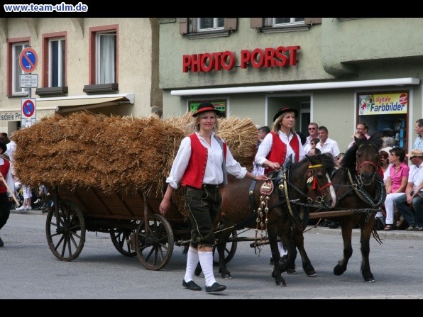 Festumzug - Hoch zu Ross @ Biberach - Bild 144