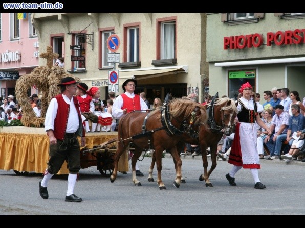 Festumzug - Hoch zu Ross @ Biberach - Bild 146