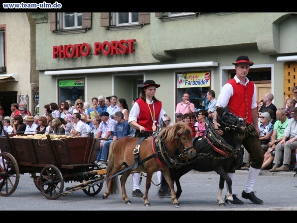 Festumzug - Hoch zu Ross @ Biberach - Bild 147