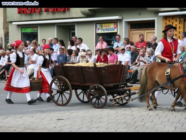 Festumzug - Hoch zu Ross @ Biberach - Bild 148