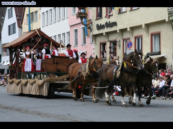 Festumzug - Hoch zu Ross @ Biberach - Bild 149