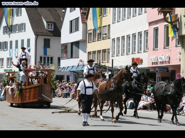 Festumzug - Hoch zu Ross @ Biberach - Bild 152