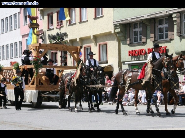 Festumzug - Hoch zu Ross @ Biberach - Bild 153