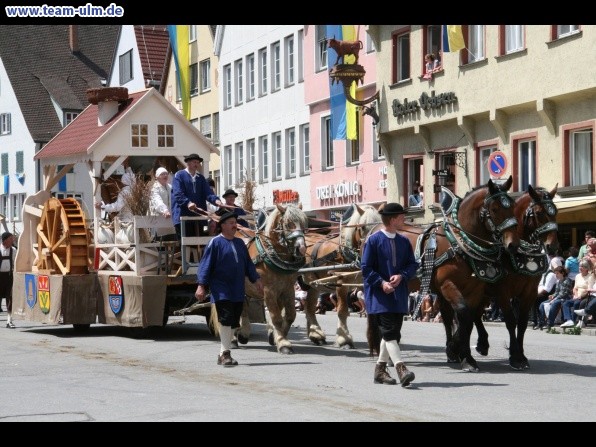Festumzug - Hoch zu Ross @ Biberach - Bild 154
