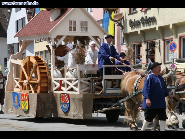 Festumzug - Hoch zu Ross @ Biberach - Bild 155