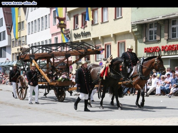 Festumzug - Hoch zu Ross @ Biberach - Bild 156
