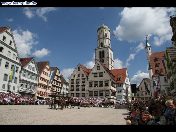 Festumzug - Hoch zu Ross @ Biberach - Bild 157