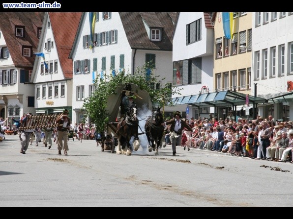 Festumzug - Hoch zu Ross @ Biberach - Bild 158