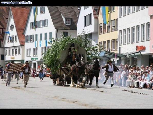 Festumzug - Hoch zu Ross @ Biberach - Bild 159
