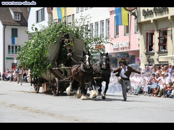 Festumzug - Hoch zu Ross @ Biberach - Bild 160