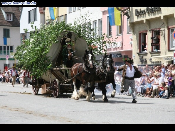 Festumzug - Hoch zu Ross @ Biberach - Bild 161