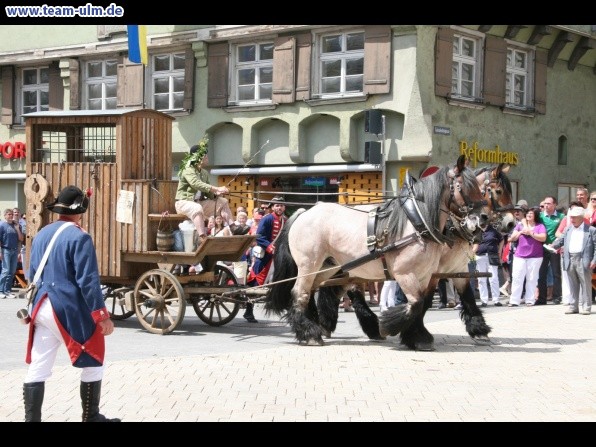 Festumzug - Hoch zu Ross @ Biberach - Bild 162