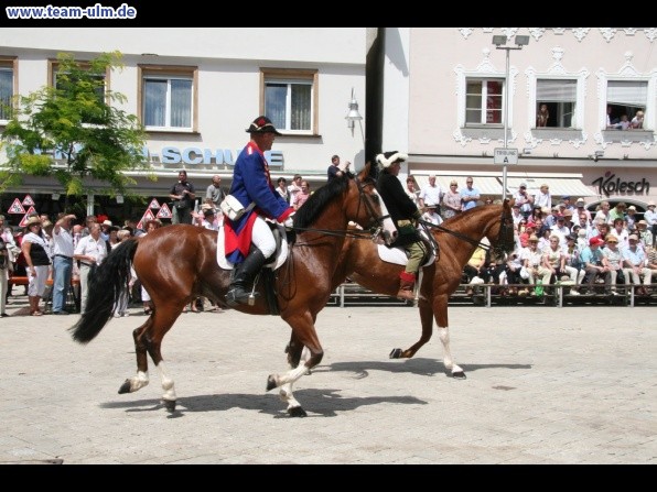 Festumzug - Hoch zu Ross @ Biberach - Bild 163