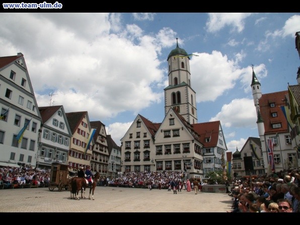 Festumzug - Hoch zu Ross @ Biberach - Bild 164