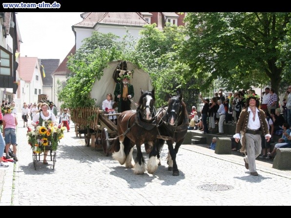 Festumzug - Hoch zu Ross @ Biberach - Bild 166