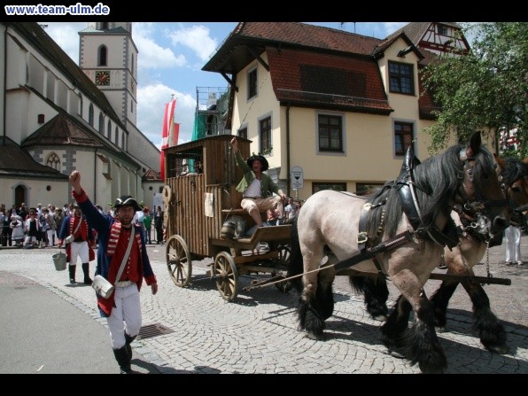 Festumzug - Hoch zu Ross @ Biberach - Bild 168