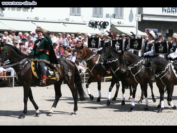 Festumzug - Hoch zu Ross @ Biberach - Bild 19