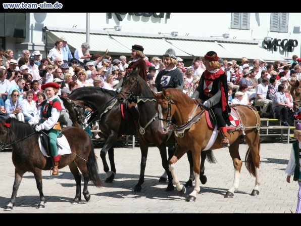 Festumzug - Hoch zu Ross @ Biberach - Bild 21