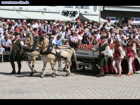 Festumzug - Hoch zu Ross @ Biberach - Bild 25