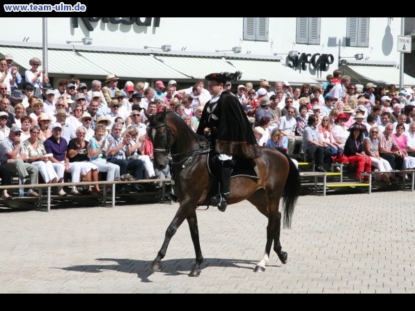 Festumzug - Hoch zu Ross @ Biberach - Bild 27