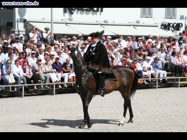 Festumzug - Hoch zu Ross @ Biberach - Bild 28