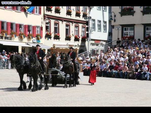 Festumzug - Hoch zu Ross @ Biberach - Bild 31