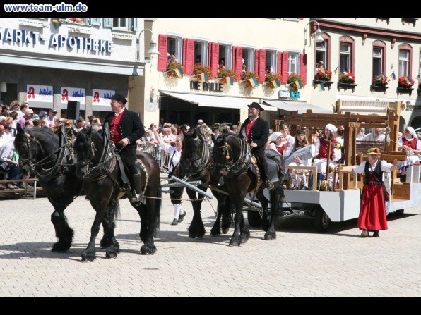 Festumzug - Hoch zu Ross @ Biberach - Bild 32
