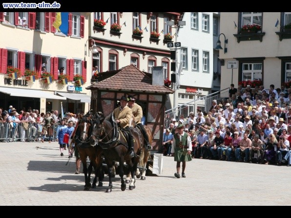 Festumzug - Hoch zu Ross @ Biberach - Bild 33