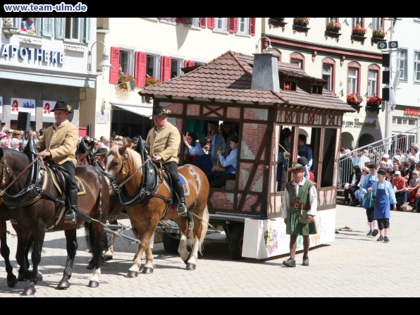Festumzug - Hoch zu Ross @ Biberach - Bild 34