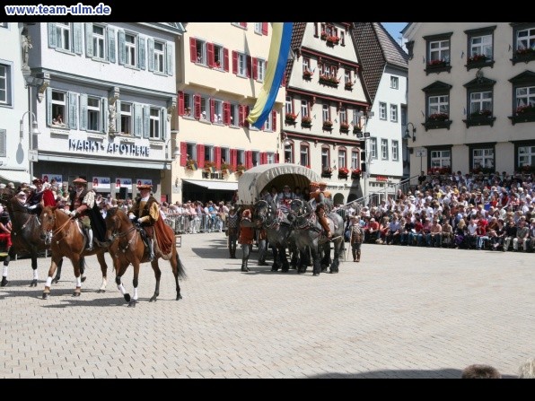 Festumzug - Hoch zu Ross @ Biberach - Bild 39